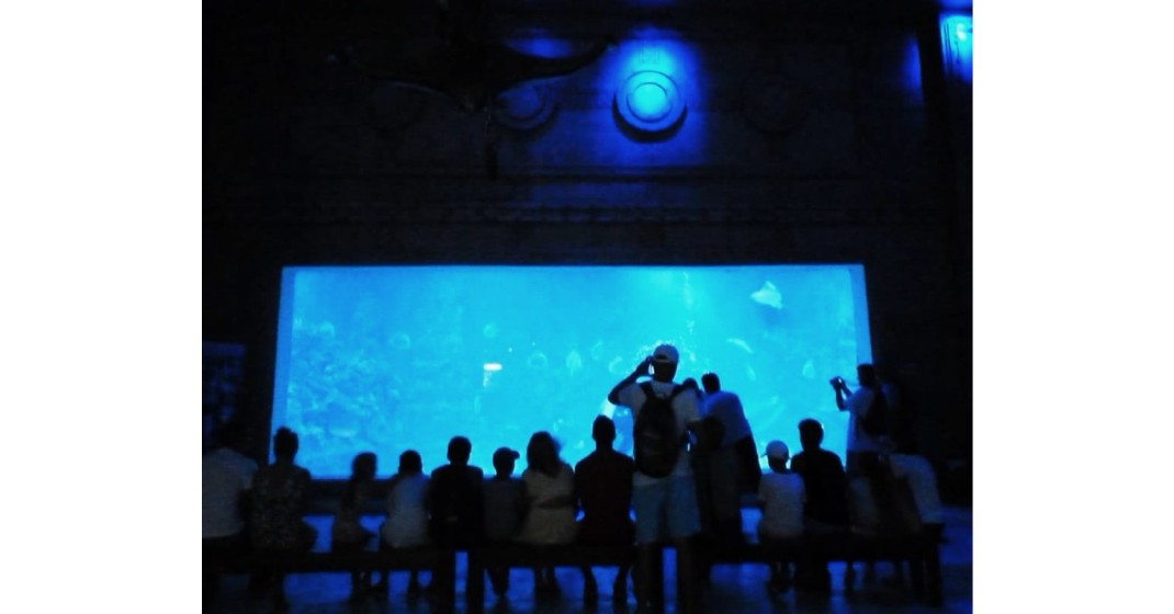 wycieczka do Aquarium hurghada 