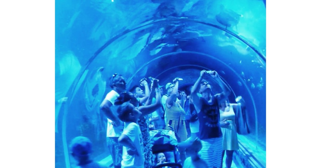 ceny aquarium hurghada 