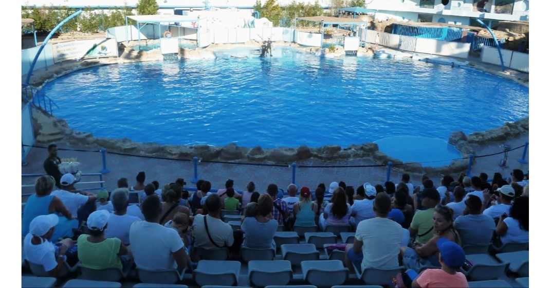 delfinarium hurghada egipt 