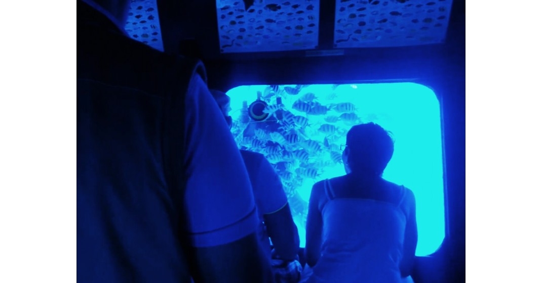 wycieczki morskie Hurghada