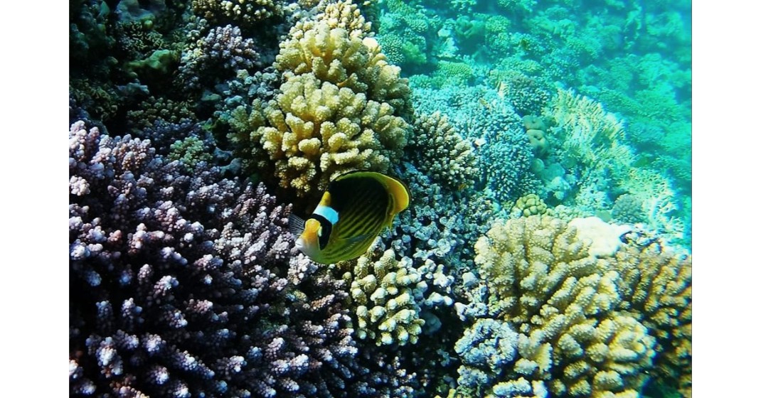 submarine Hurghada 