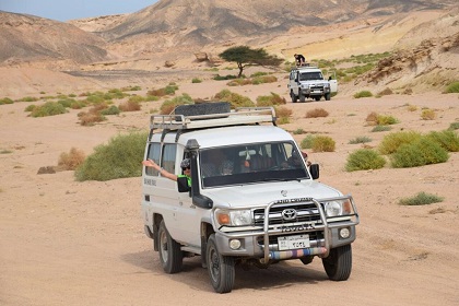 Marsa Alam Safari Excursions