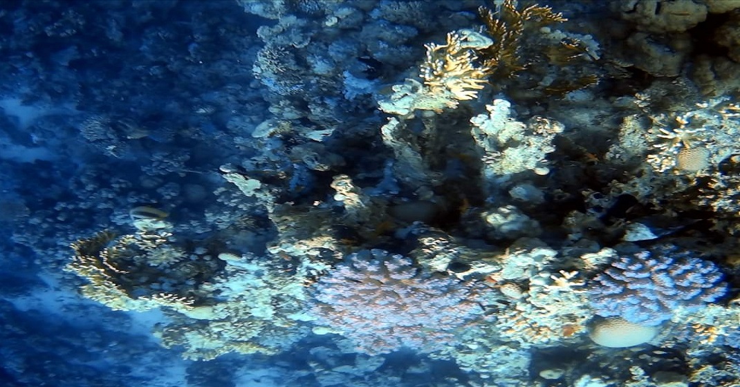 Hamata Qulaan Islands in Marsa Alam 